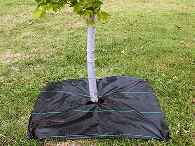 Weed Mat for Tree