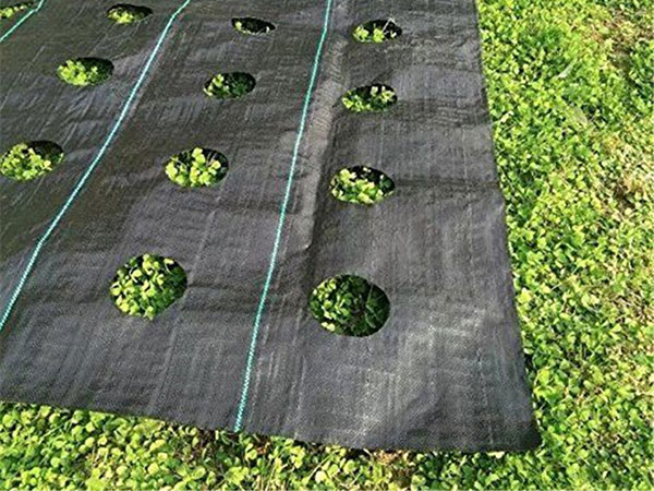 Weed Block Pro Weed Mat with Hole