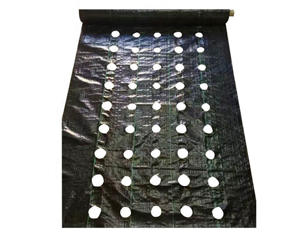 Weed Mat with Holes